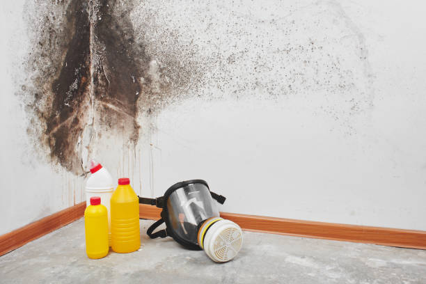 Best Mold Removal for HVAC Installations  in North Potomac, MD